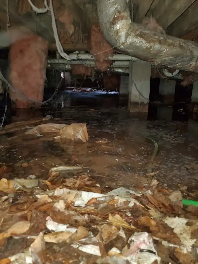 Crawl space flood assessment for Commercial Water Damage Restoration in Spring Valley