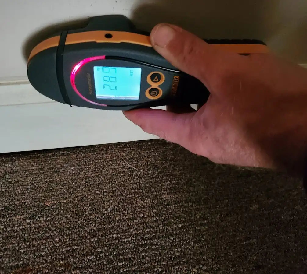Moisture detection at baseboard during Sewage Cleanup & Sanitation in Spring Valley